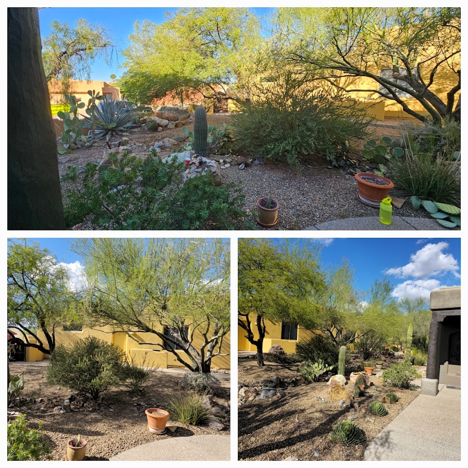 Gifted hands landscaping and more project